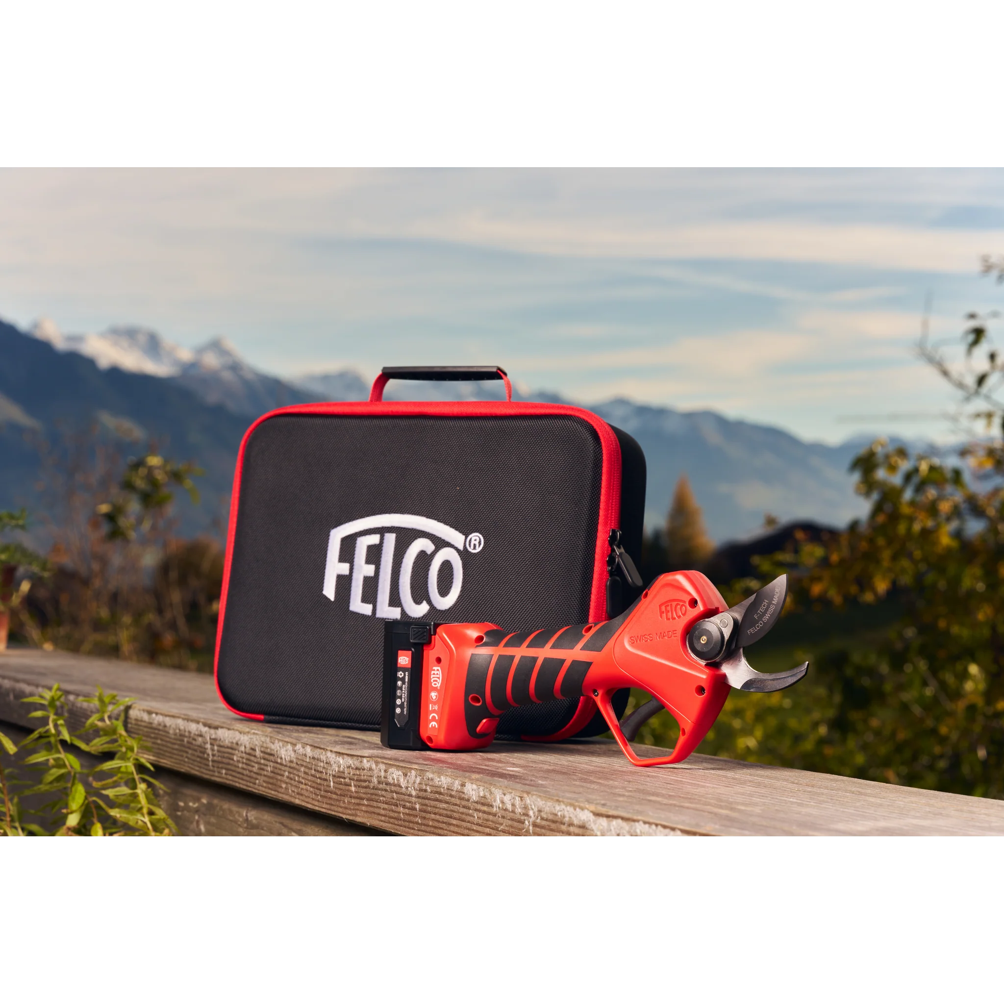 FELCO 2e - Image 4