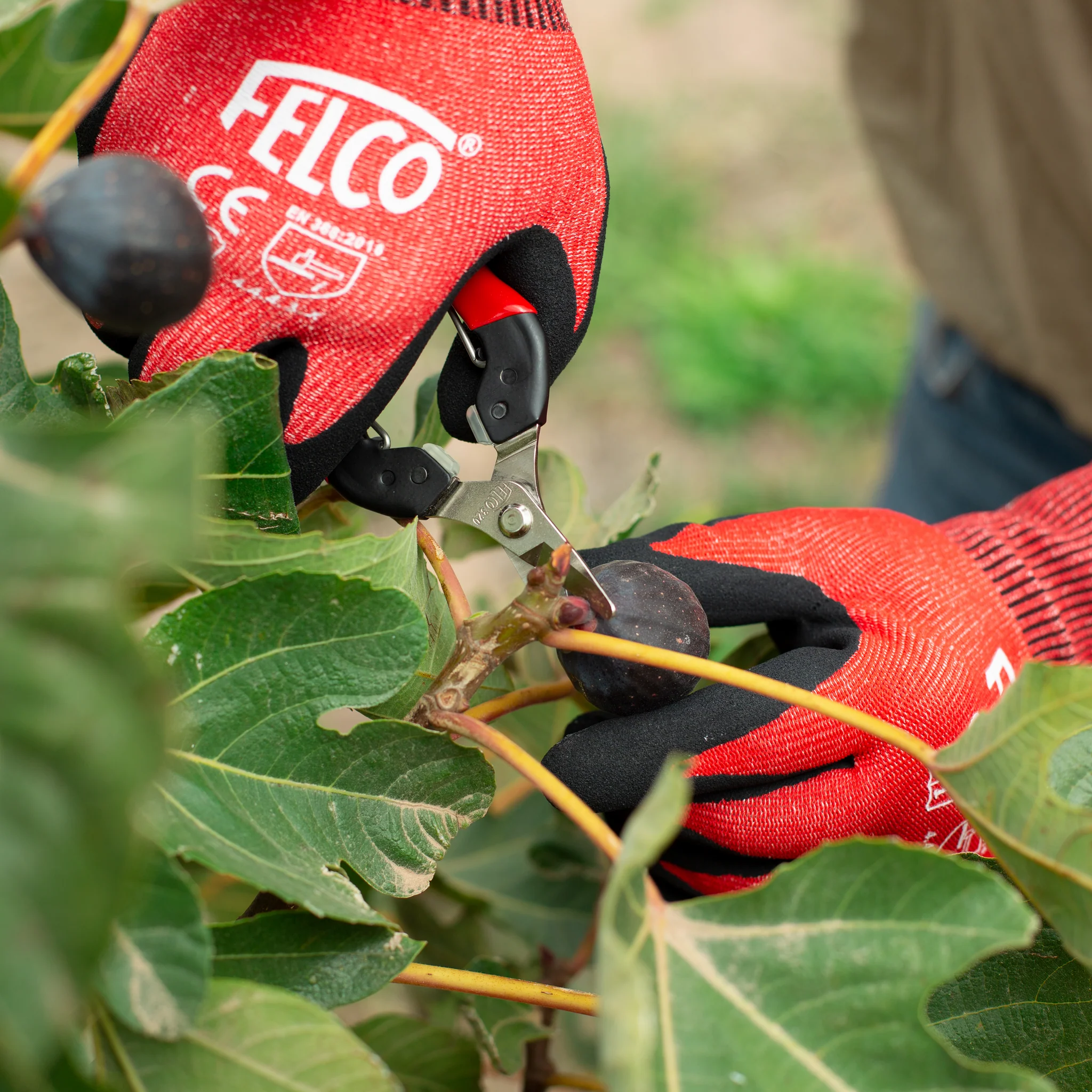 FELCO 320 - Image 4
