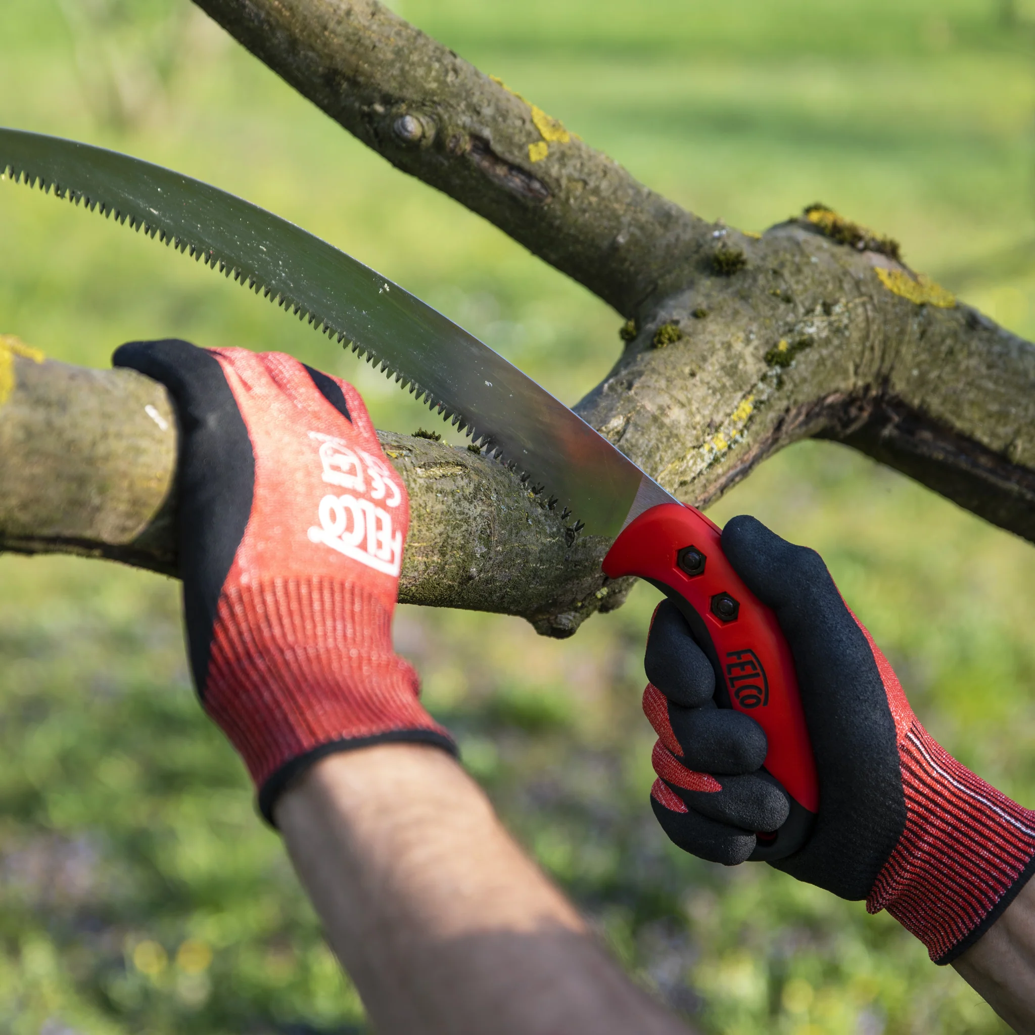 FELCO 701 - Image 5