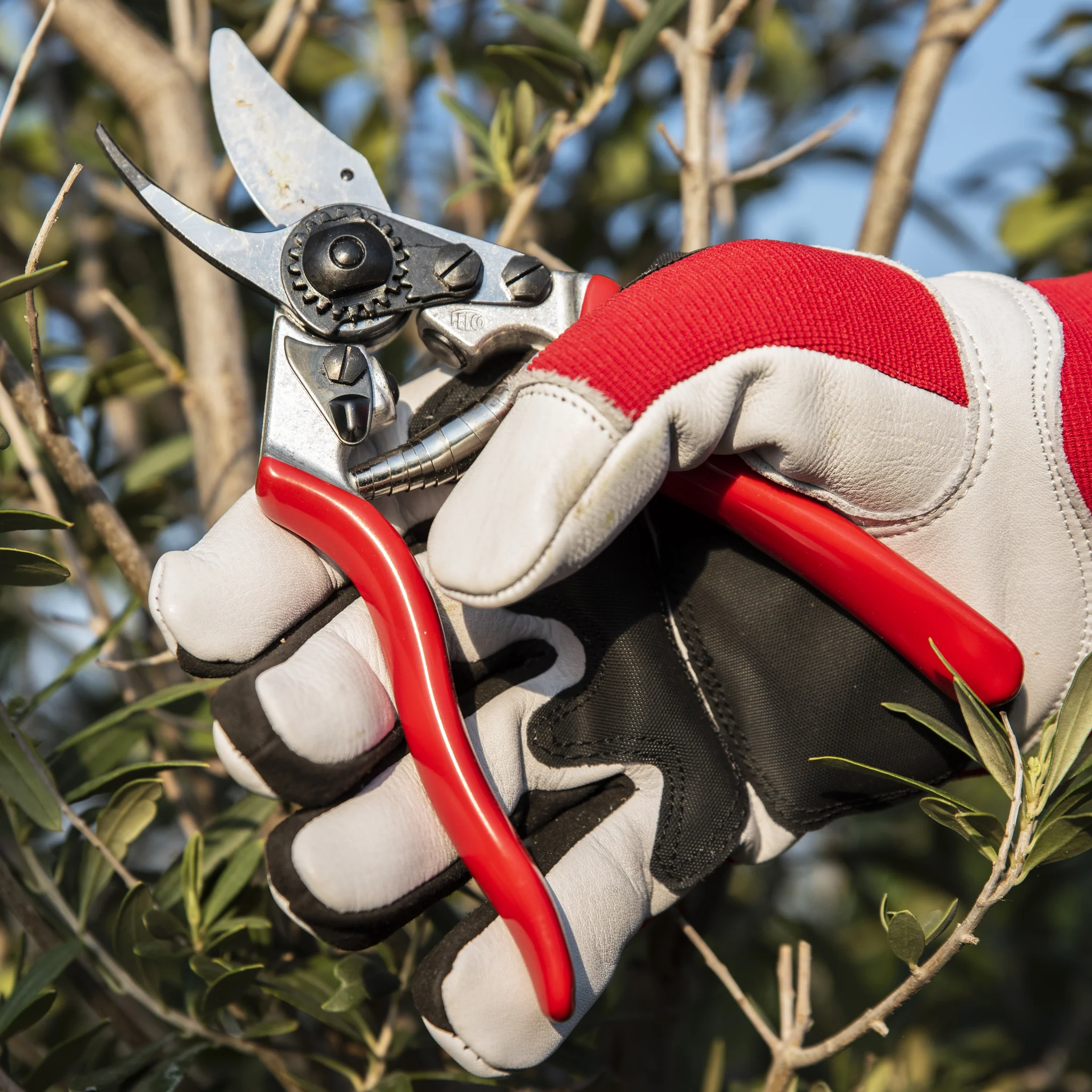 FELCO 702 - Image 11