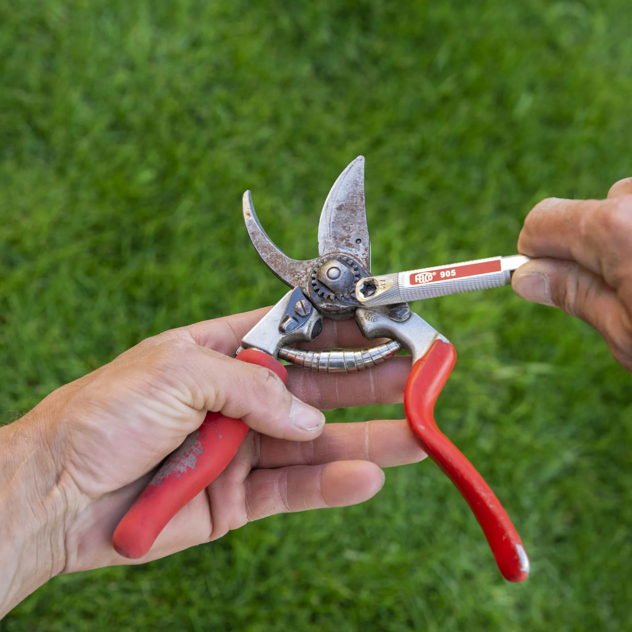 FELCO 905 - Image 4